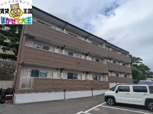 MODERN PALAZZOレイールの画像