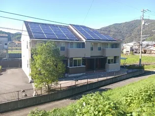 プリムローズINOの画像