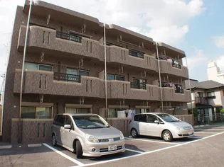 Y&Mボヌールの画像