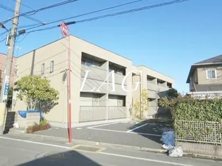 テール カンパーニュの画像