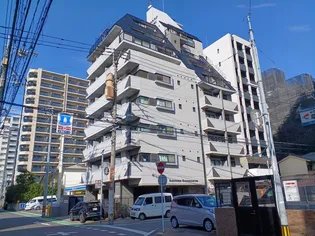 ロマネスク天神南第2【7階】の外観