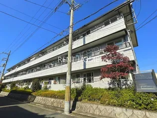 ロイヤルハイツの画像