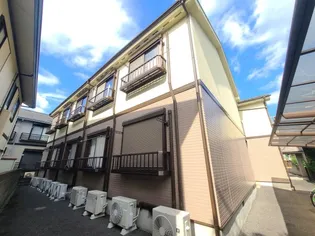 モンターニュの画像