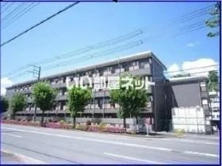 ドミトリー山根の画像