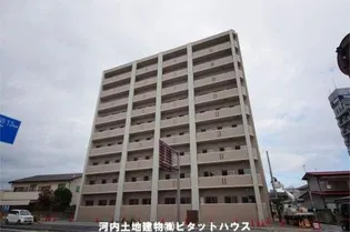 アマルフィーノの画像