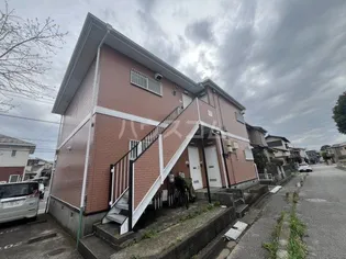 カタンクローバーの画像