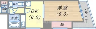 メゾン中町【4階】の間取り