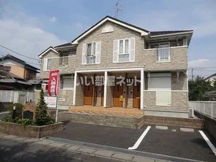 テンプラードナゴミの画像