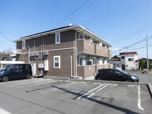 プラシード Kの画像