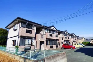 コーポアネシスの画像