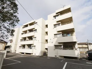 トマトハイツA【4階】の外観