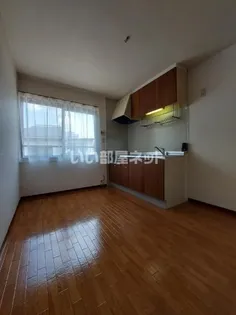 パーク・フラッツB【2階】のキッチン