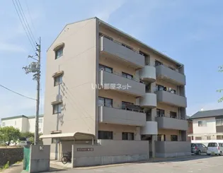 MATSUMOMENT桜井IIの画像
