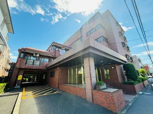 エクロール蓮根の画像