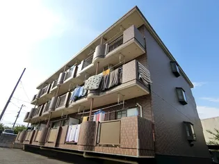 フィールドステージの画像