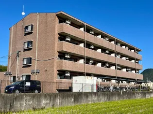 モラールの画像