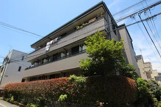 グレースパピヨンの画像