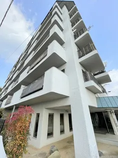 フドウ古江ハイツの画像