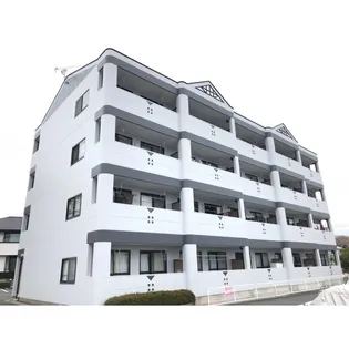 ロイヤル花水木の画像