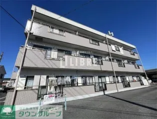 アムールオオカサの画像