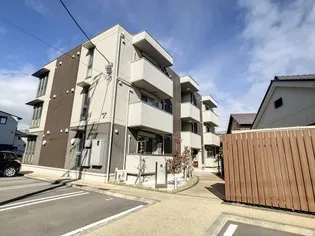 コーラルの画像