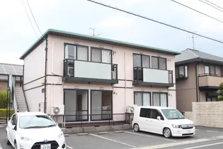 マロニエの画像