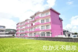 徳島県阿南市見能林町念仏免【マンション】の外観