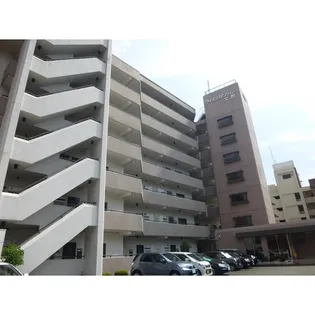 ライオンズマンション文教【6階】の外観