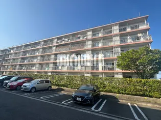 新桜ケ丘団地6号棟の画像