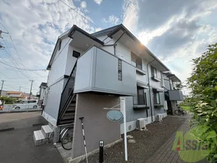 ボンシャンスCの画像