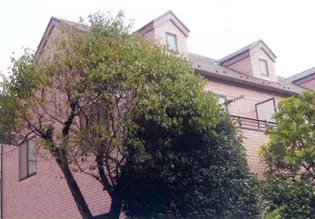 東京都武蔵野市西久保3【一戸建】の外観