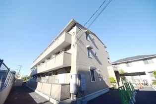 グレイスの画像