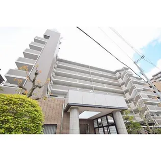 グレースコスギの画像