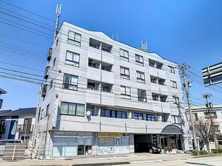 サクシードの画像