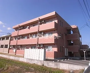 GRAND VIEW 桜花の画像