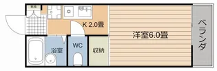 プレジールゆみ【1階】の間取り