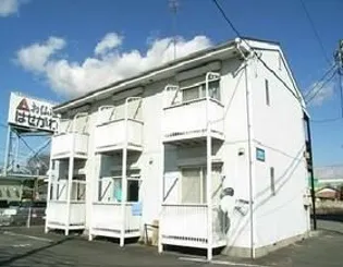 チェルシーの画像