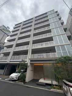 クリプトメリア日本橋の画像