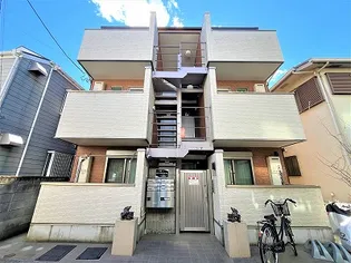 シナモンIIの画像