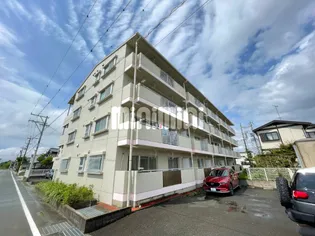 パストラル アイの画像