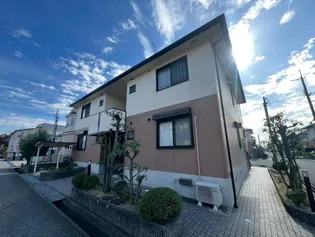 パルティールの画像