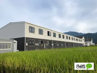 シンプルNの画像