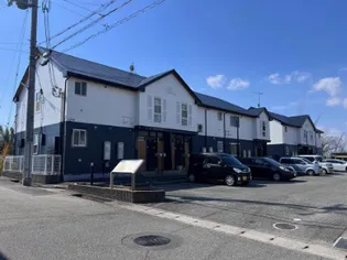 オリーブ 1の画像