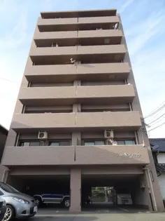 ビューカサディの画像