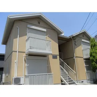 サザンライツワンの画像