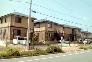 フラワーヒルの画像