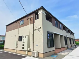 ルピナスの画像