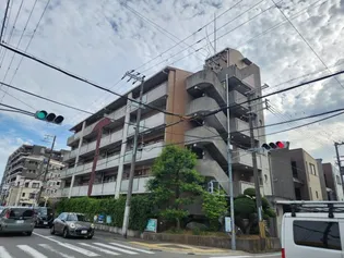 エクセレントスプリングの画像