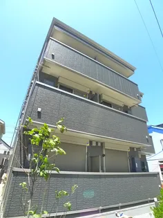 マスターグレースの画像