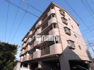 グレイス犬飼の画像